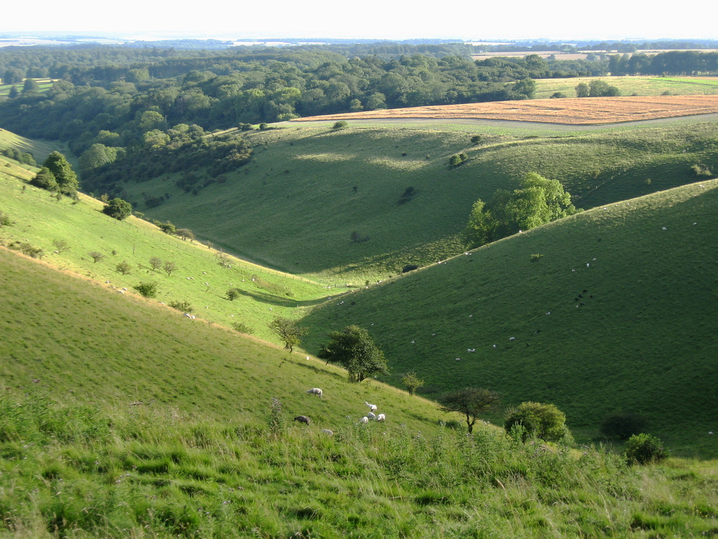 wiltshire countryside